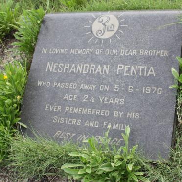 PENTIA Neshandran -1976