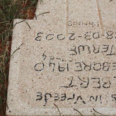 ? Unknown &amp; Illegible Graves