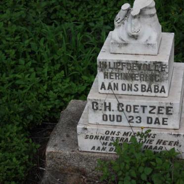 COETZEE G.H.