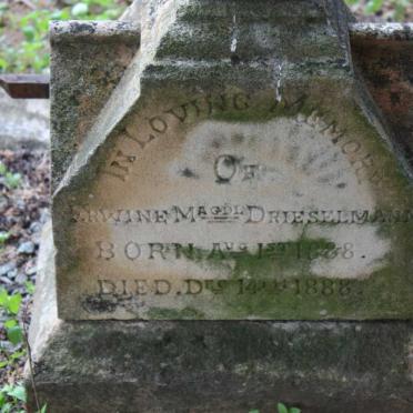 DRIESELMANN Erwine Magdl 1888-1888