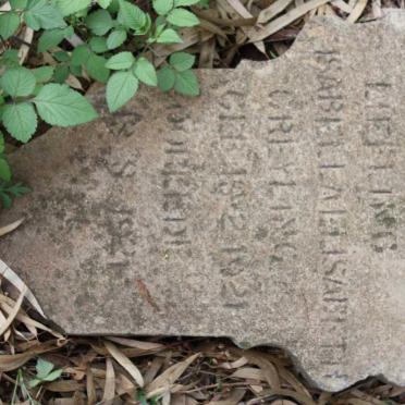 GREYLING Isabella Elisabeth 1921-1921