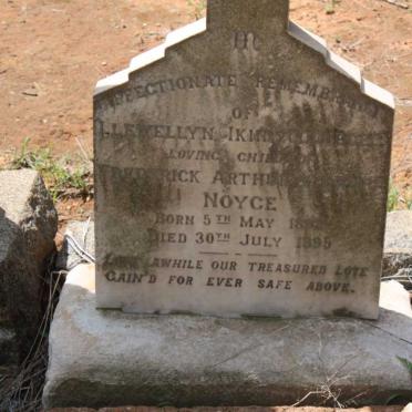 NOYCE Llewellyn 18??-1895