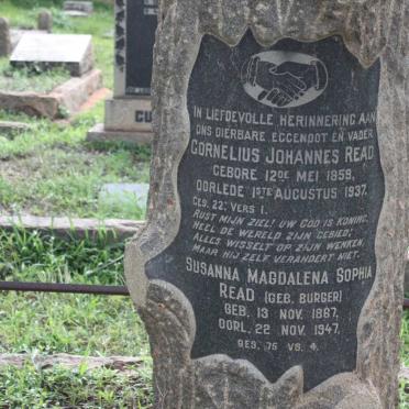 READ Cornelius Johannes 1859-1937 &amp; Susanna Magdalena Sophia BURGER 1867-1947 