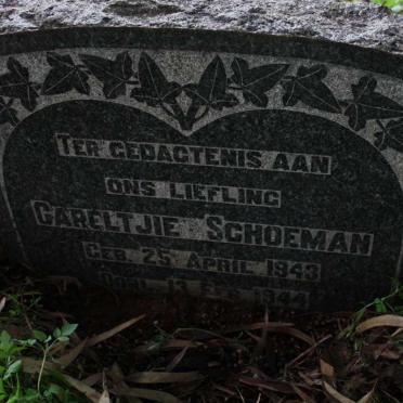 SCHOEMAN Careltjie 1943-1944