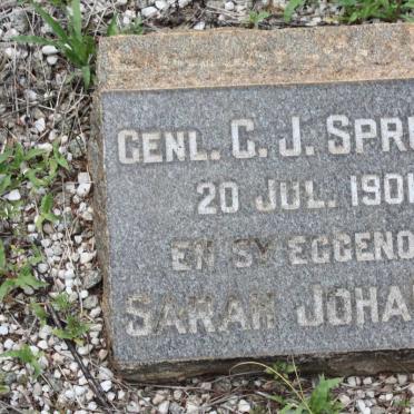 SPRUYT C.J. 1901 &amp; Sarah Johanna