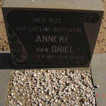 DRIEL Anneke, van 1971-1971