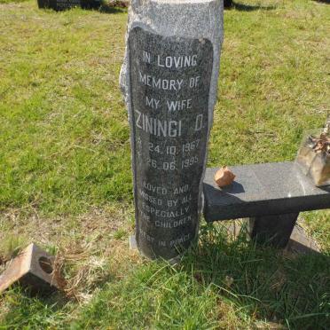 ? Ziningi D. 1967-1995