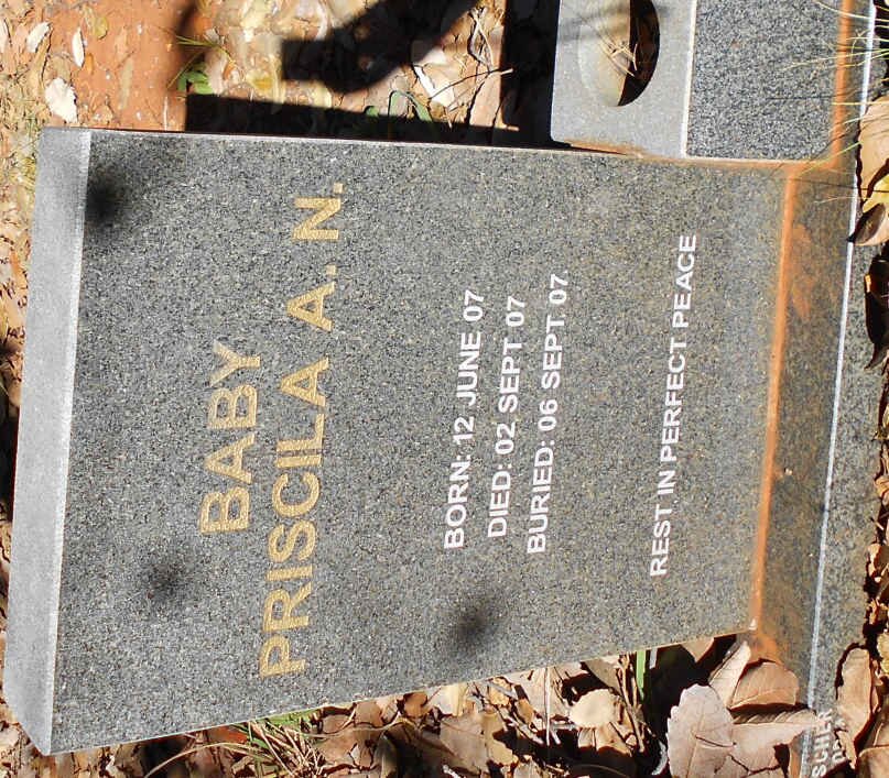 ? Priscila A.N. 2007-2007