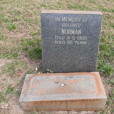 ? Norman - 1966