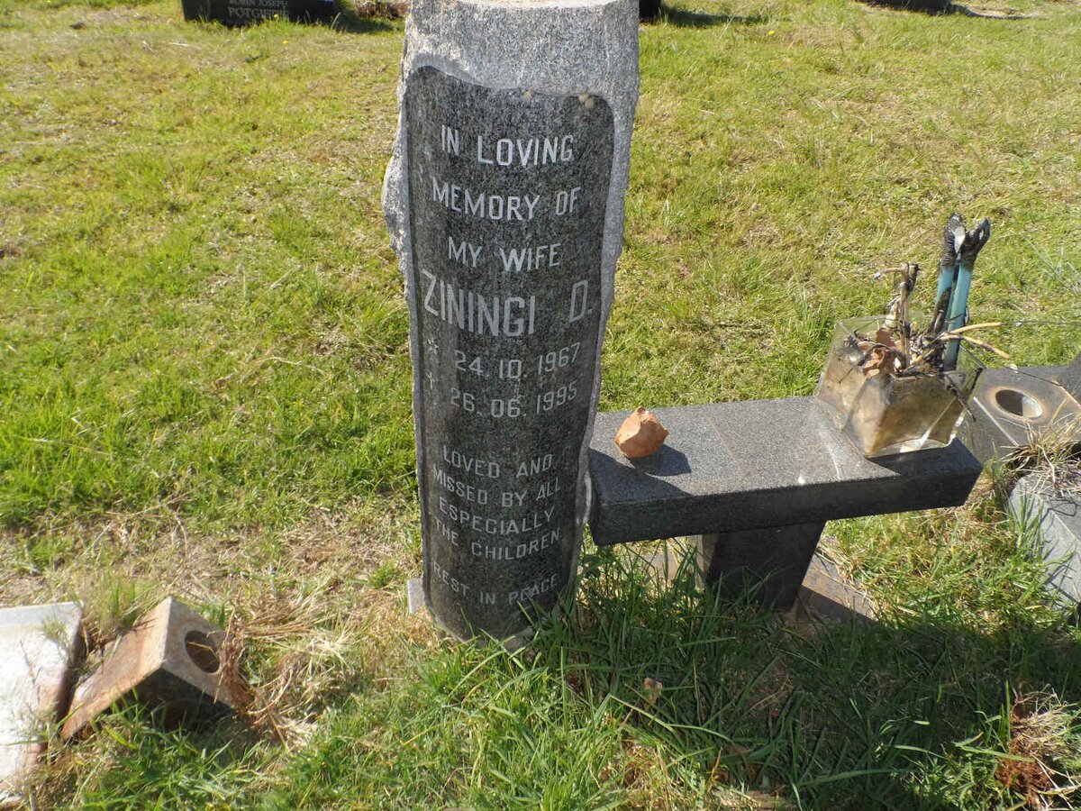 ? Ziningi D. 1967-1995