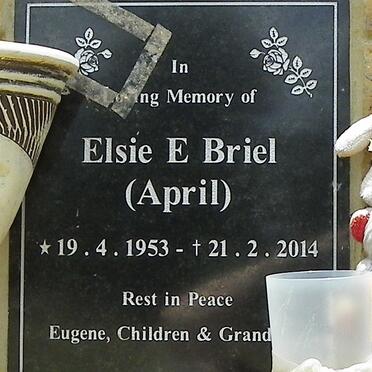 BRIEL Elsie E. 1953-2014