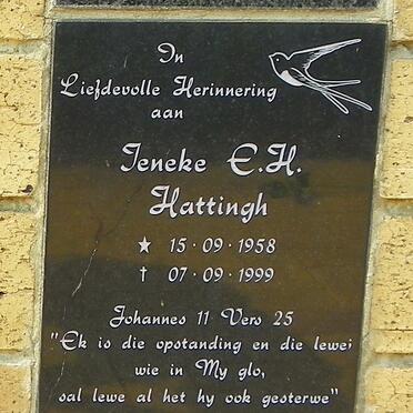 HATTINGH Jeneke E.H. 1958-1999