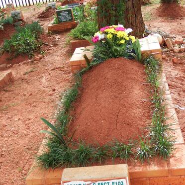 BHEEKOO Sara Gatoon -2020