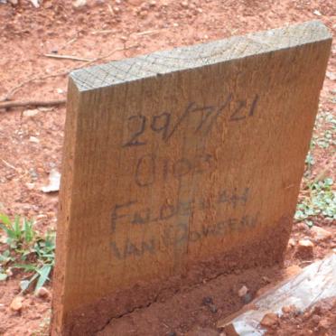 DOV?N Falde?ah, van -2021