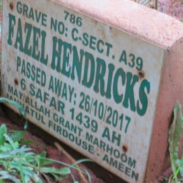 HENDRICKS Fazel -2017