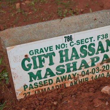 MASHAPA Gift Hassan -2019