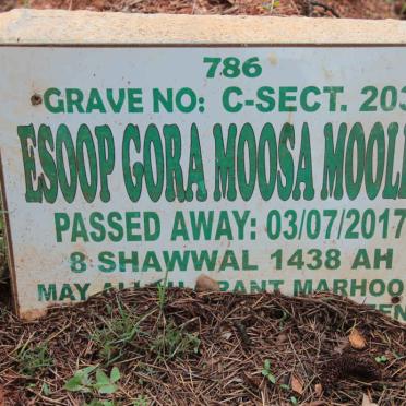 MOOLLA Esoop Gora Moosa -2017