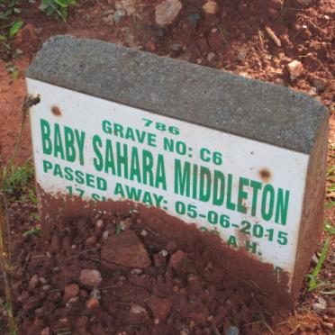 MIDDLETON Sahara -2015