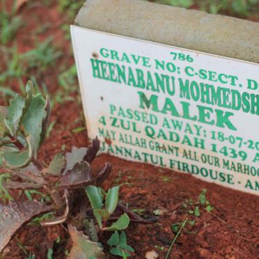 MALEK Heenabanu Mohmedshafi -2018