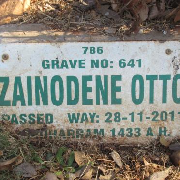 OTTO Zainodene -2011