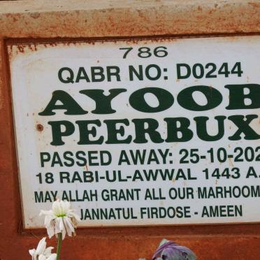 PEERBUX Ayoob -2021