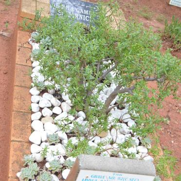 SCARNICK Abdul Gameed -2015