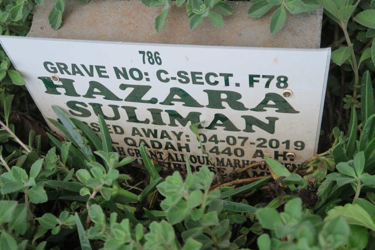 SULIMAN Hazara -2019