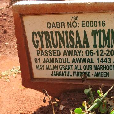 TIMMS Gyrunisaa -2021