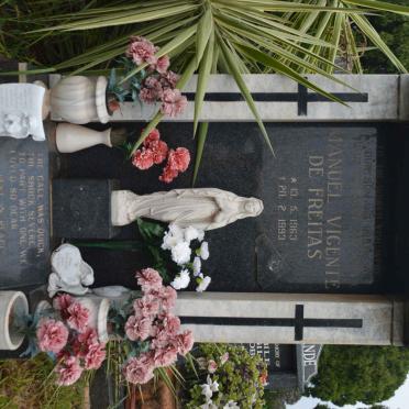 ABREU Manuel Vicente de Freitas, de 1963-1993
