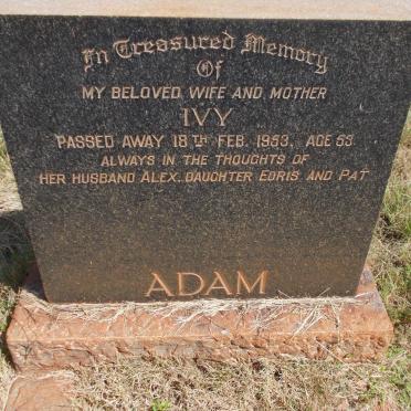 ADAM Ivy -1953