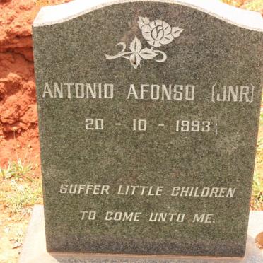 AFONSO Antonio -1993