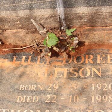 ALLISON Mary Agnes 1889-1949 :: ALLISON Thomas James 1916-2011