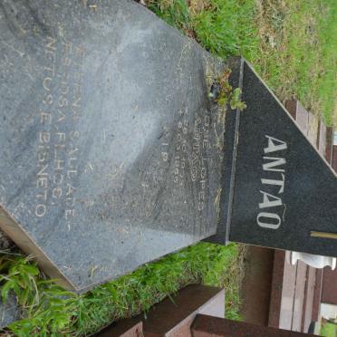 ANTAO Jose Lopes 1903-1986