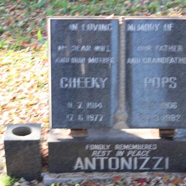 ANTONIZZI Pops 1906-1982 &amp; Cheeky 1914-1977