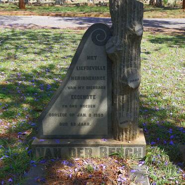 BERGH  ?, van der -1959