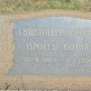 BOTHA surnames :: BOTHA vanne