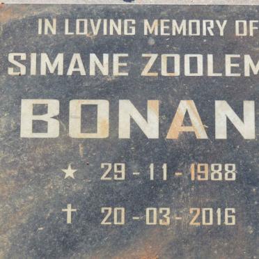 BONANI Simane Zoolema 1988-2016