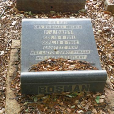 BOSMAN P.J. 1891-1952