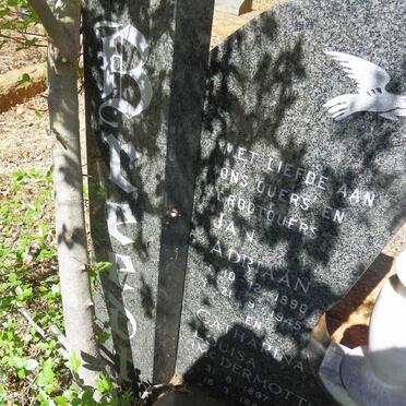 BREEDT Jan Adriaan 1890-1945 &amp; Catharina Louisa McDERMOTT 1897-1988