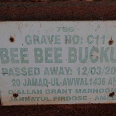 BUCKUS Bee Bee -2015