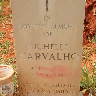 CARVALHO Michelle 1993-1993