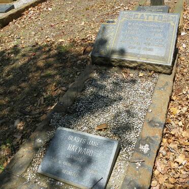 CATTO John 1882-1966 &amp; Mary 1881-1942 :: HAYWARD Gladys Jane 1908-1988