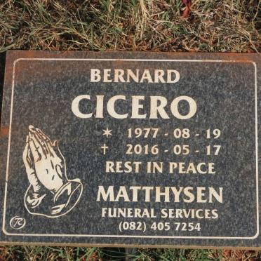 CICERO Bernard 1977-2016