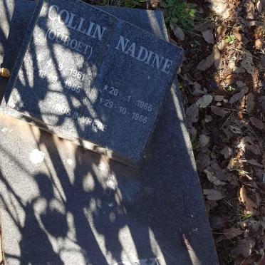 COX Collin 1961-1965 :: COX Nadine 1966-1966