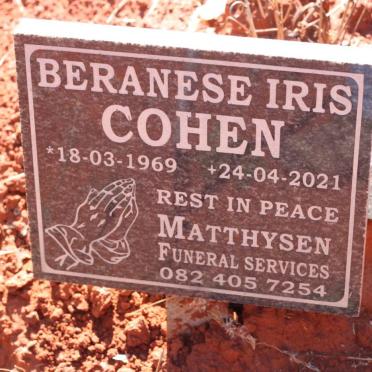COHEN Beranese Iris 1969-2021