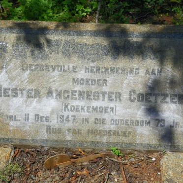 COETZEE Hester Angenester nee KOEKEMOER -1947
