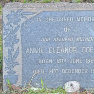 COETZEE Annie Eleanor 1894-1953