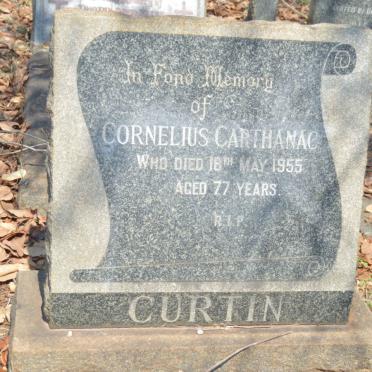 CURTIN Cornelius Carthanac -1955