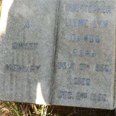 DANDO Christopher Llewellyn 1956-1956