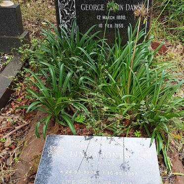 DAWS George Edwin 1880-1955 :: JONES Linda nee DAWS 1906-1987